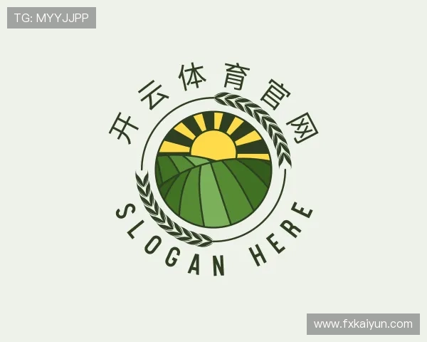 探索开云体育官网